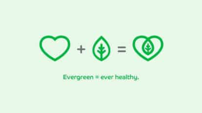 Evergreen life logo concept